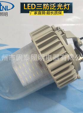LED三防平台灯 TG720-1*24W防眩防水防尘防腐泛光灯NFC9180-E50