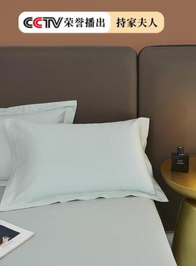 A类100色0支长绒棉纯棉床单在单件10全棉纯现简约TM701478单人枕