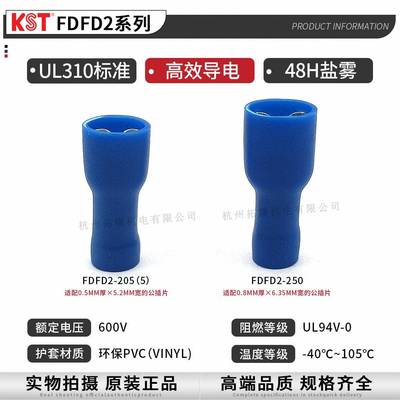 KST健和兴DFD2-110()/2-21857(8)/205/50389带铜F套插簧端子UL认