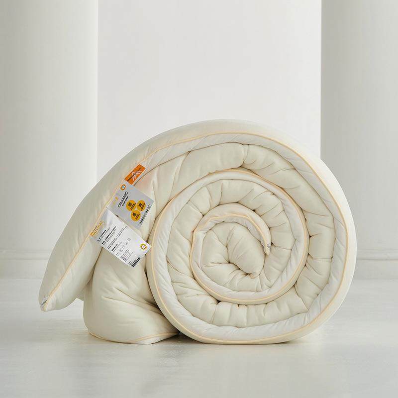 纤维玉米被子A类母婴糯糯被冬被单双人春秋被学生宿舍保暖被芯褥,鲜花速递/花卉仿真/绿植园艺,割草机/草坪机,淘宝优惠券,粉丝福利购,淘宝优惠卷