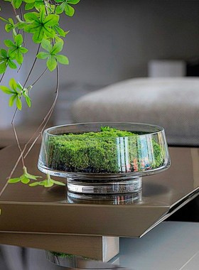 现代透明水晶玻璃花瓶花器永生绿植盆景餐桌洽谈桌卧室装饰品摆件