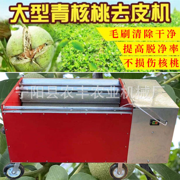 青核桃去皮清洗一体机商用全自动核桃剥皮机小型去核桃脱皮青皮机