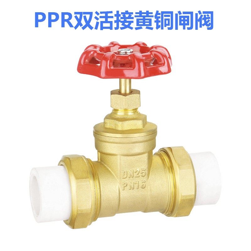 PPR活接铜闸阀自来水管暖气开关4分20双头热熔6分25塑料1寸32截止