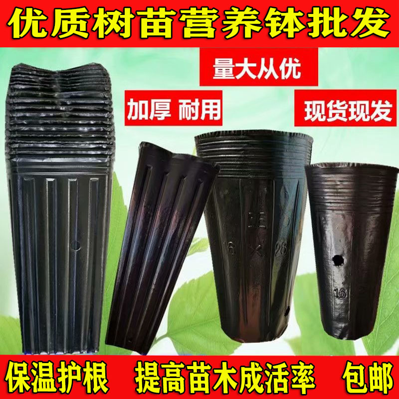 加高营养钵高桶脐橙柑橘苗方口育苗钵圆口育苗杯黑色塑料盆树苗杯