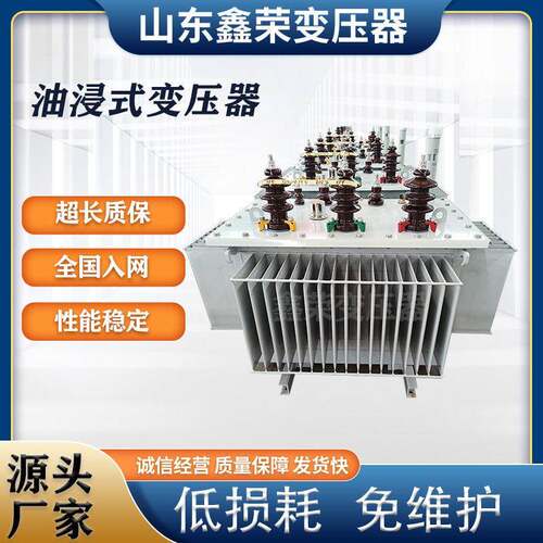 SH15/SH17-800KVA10/0.4KV非晶合金变压器/1000KVA油浸式变压器厂