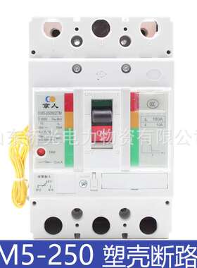 北京人民GM5-250M/2TM 3TM 160A200A250A直流断路器GM225M-2300R