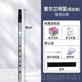 高档爱尔哨笛初学入门笛金属者子6孔兰C调D调高低音直笛直笛乐器