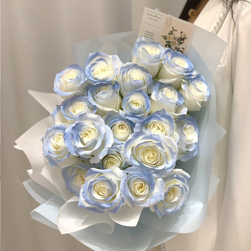 鲜花喷色剂花颜色喷漆花艺满天星染料花店婚礼色彩彩喷冰蓝花卉