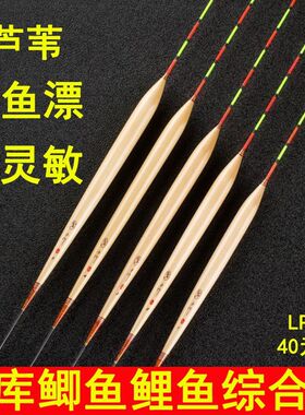 正卢浮漂A15黑坑正钓鲫鱼鲤鱼漂高灵敏野钓短脚长尾罗非芦苇鱼漂