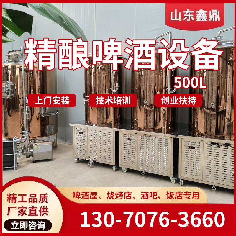 一体化精酿啤酒设备鲜啤精酿设备发酵罐糖化罐自酿鲜啤设备一体机