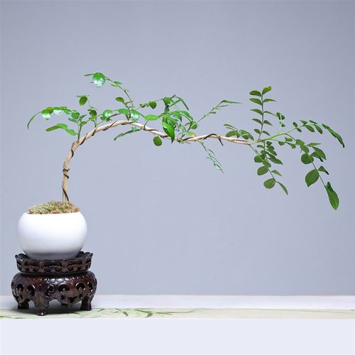 黑檀木雕如意整木底座小板凳小案几实木工艺品文玩装饰摆件