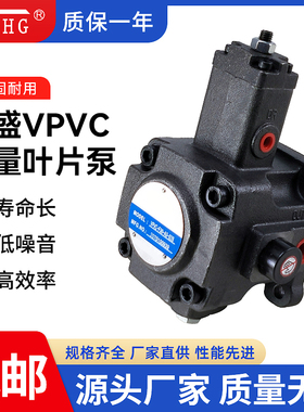 弋盛机械VPVC-F12-A3-02A  VPVC-F15/F20/F30-A1/A2/A3-03A叶片泵