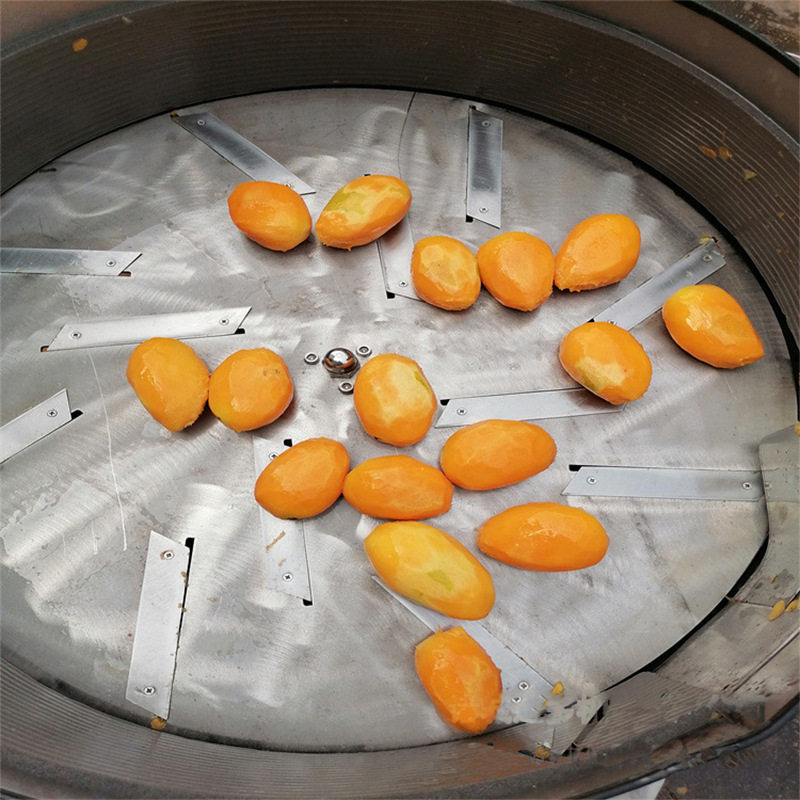 小台芒削皮机 福建小芒果去皮清洗机 仿手工芒果削皮机器