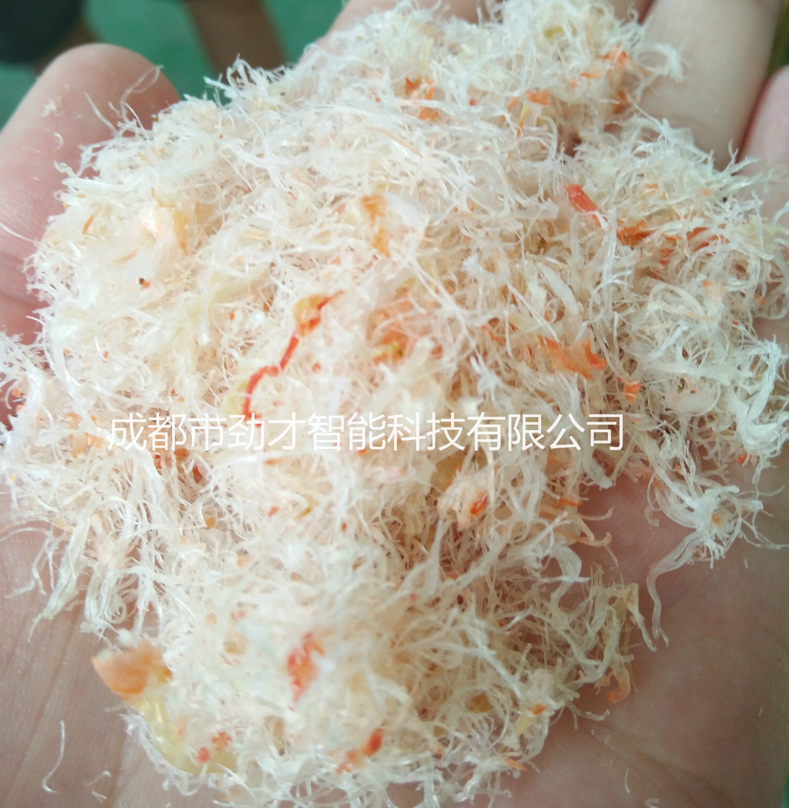 供应虾松设备虾绒机械