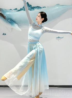 高档中弹国古典舞立领力纱衣蓝色舞蹈练服民族舞裤裙飘逸女风演出