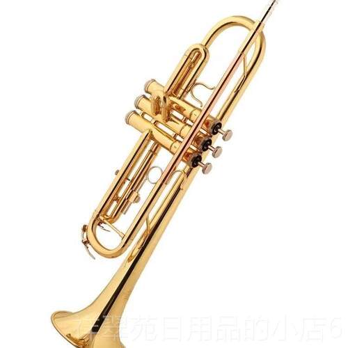 高档正百灵小乐号器降B调初学者考级专品业级乐队学生学校号管小