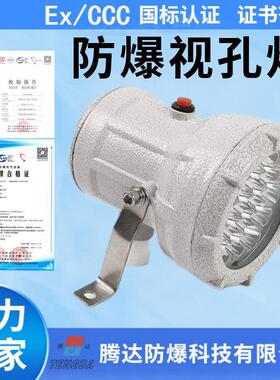 腾达无延时防爆视孔灯led-ABsg 固定式36/220V视镜灯10W 厂家