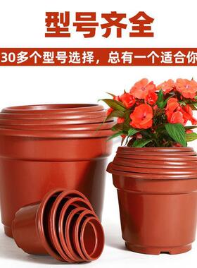 盆红色圆反边处理种植AB型育苗花盆月季花塑料基地盆