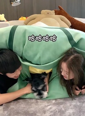 网红爆款玩偶乌龟壳超大可穿戴钻入双头乌龟抱枕睡觉人偶公仔头套