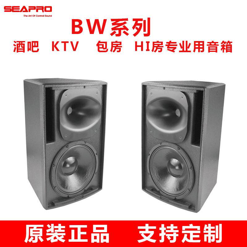 现货森BW610全频音箱酒吧KTV包房HI房专业会议音响生产厂家