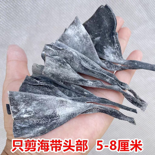福建霞浦海带头正宗特厚级干货厚实软糯海带根海带海产品海带头丝