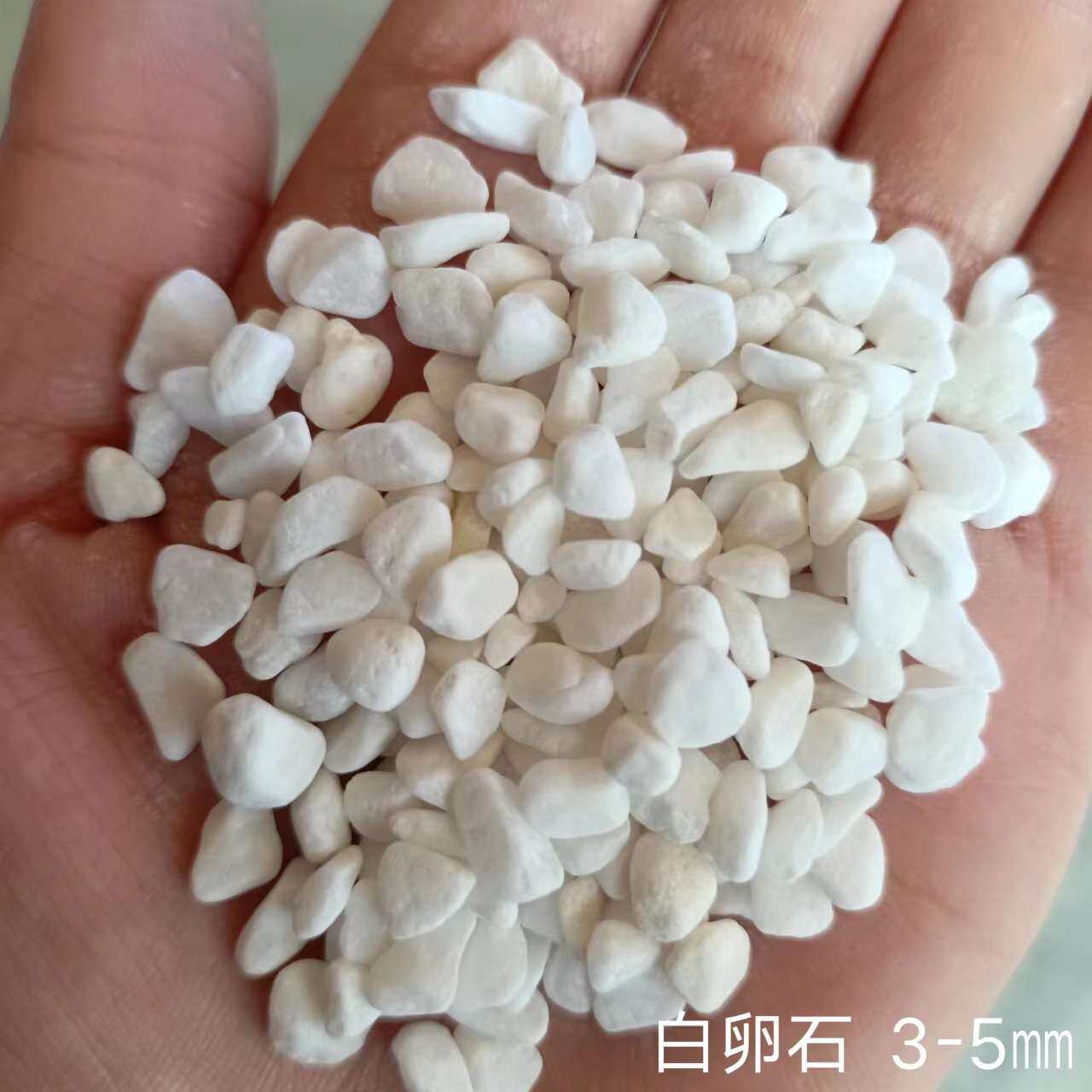 白石子多肉盆栽铺面花园庭院铺路鹅卵石水族鱼缸造景铺底白色碎石
