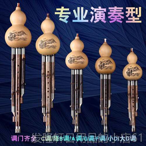 高档云南紫竹芦丝乐器专业演型奏成人C调降B调初DAGF学考葫级正品