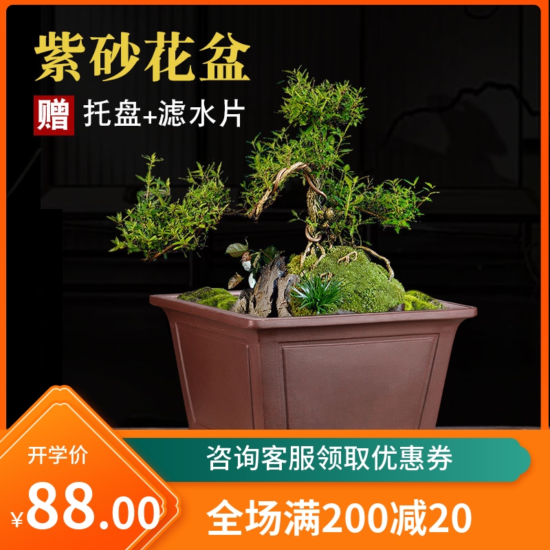 宜兴高端精品紫砂花盆四方盆大号陶瓷花盆景盆方形家用小花盆高档