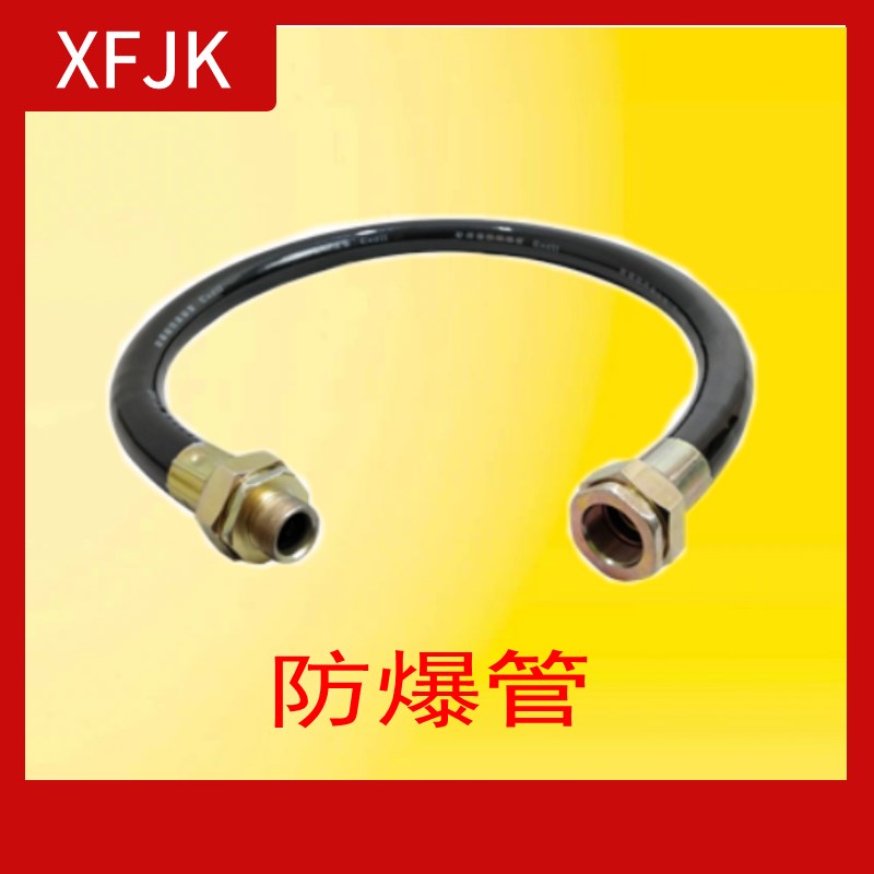 防爆管防爆挠性连接管监控摄像头大摄像机防爆BNG软管监控通用