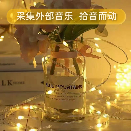 皮线氛围灯5V低压幻彩智能点控灯带室外防水节日求婚背景装饰灯串