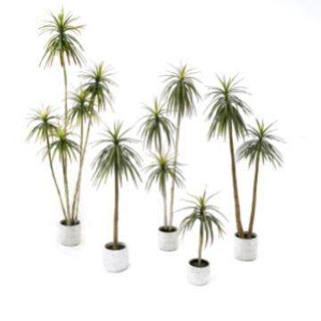 含阳 狭叶龙舌兰 千年木假树盆栽橱窗装饰仿真植物人造植物假花