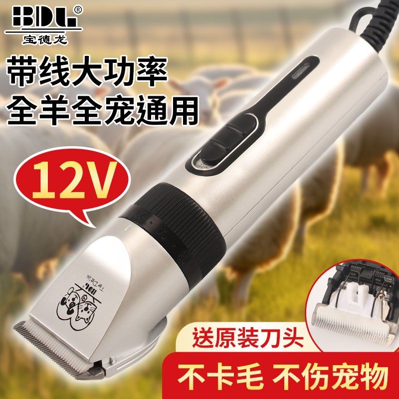 宠物大功率剃毛器电推剪猫狗狗专业电动除毛器大型犬羊毛专用推子