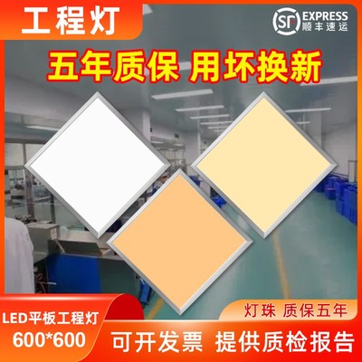 30x30集成吊顶灯led自然光厨卫平板灯60x60x120暖白暖黄铝扣板