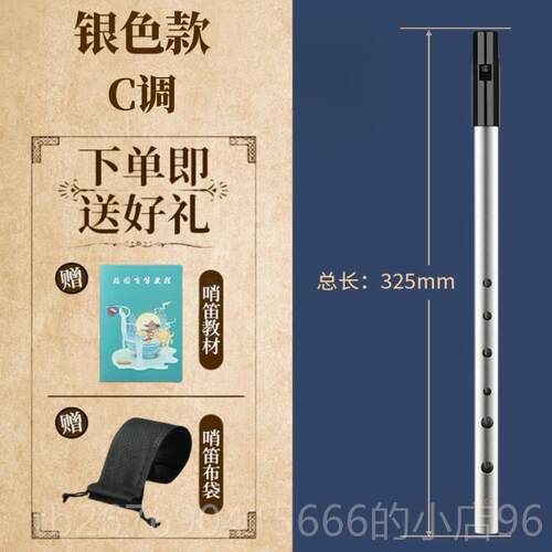 高档星调乐爱尔哨笛初学专业演奏级六门孔直笛C调D兰调高音直笛入