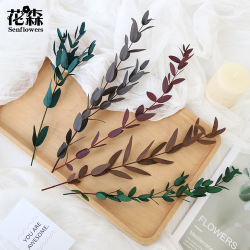 diy手工装饰叶材辅材永生花尤加利叶整份保鲜花干花玻璃罩插花