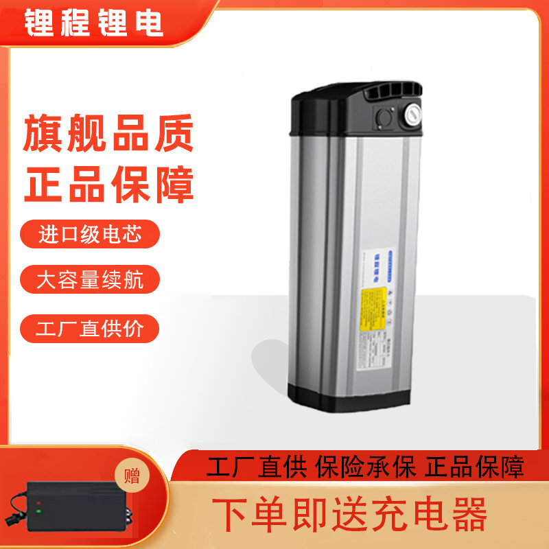 折叠电动车大容量通用电瓶48V6-20A代驾外送车专用手提银鱼锂电池