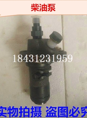 江淮1130喷油泵 江动32王柴油泵 ZH1130江动1130柱塞总成柴油机