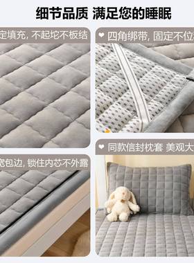 学生宿加舍单床垫上面TKI铺的褥子薄款可水洗叠家用卧人室软折垫