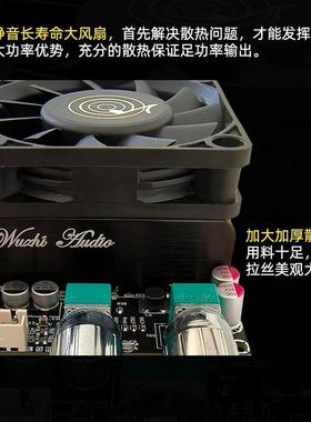6001板节有源重低音炮功放低通滤波单声道600PMVW率音量调频TPA32