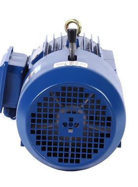 4极EJ电磁制Y动电动机0.55千瓦-74590马达电械机3w80V机设备用电