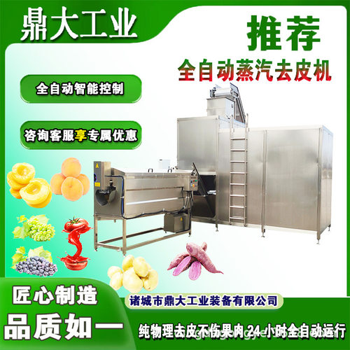 番茄西红柿蒸汽去皮机 蔬菜水果高温爆皮脱皮设备 圣女果烫皮机器
