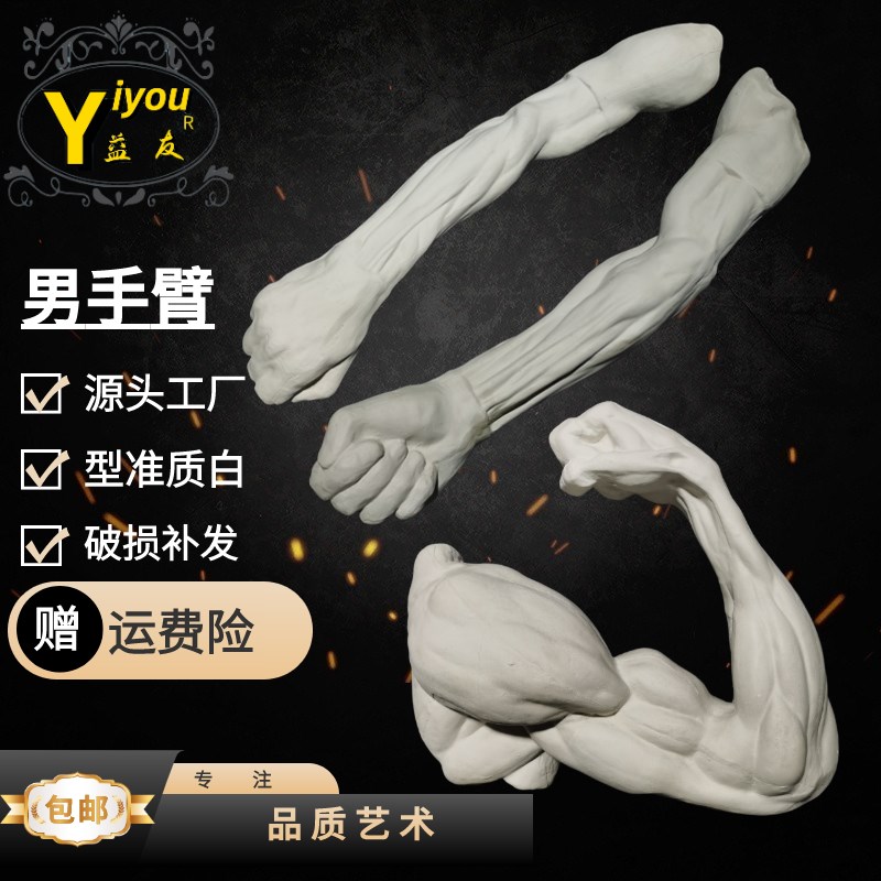 男女手模型男女足模型石膏曲臂模型直臂男女四肢素描教学绘画石膏