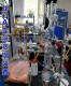 定氮蒸馏装 凯式 定氮及氨基态氮测定 置 龙科A定氮蒸馏装