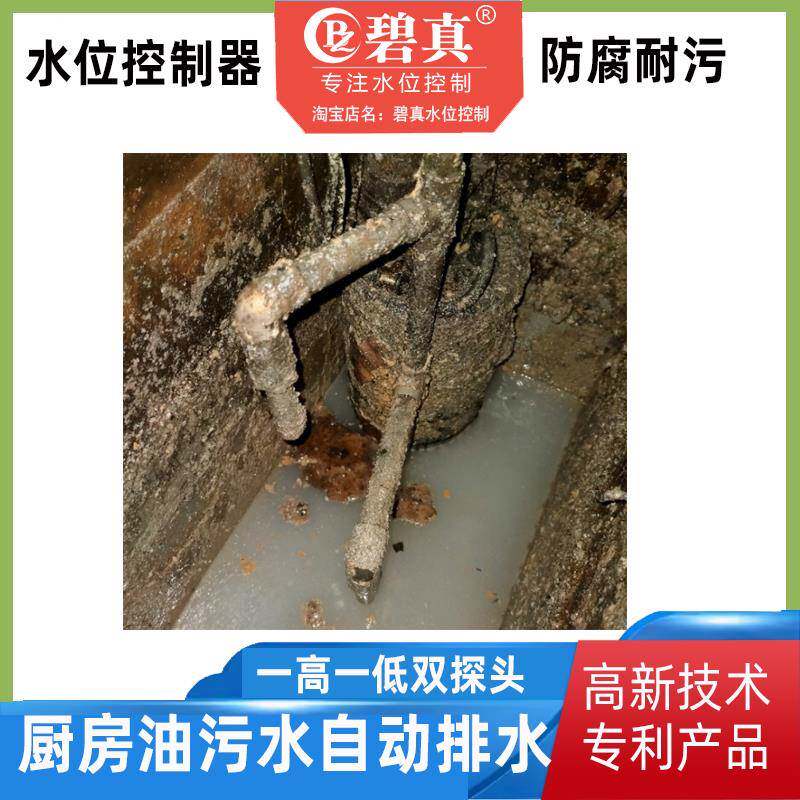 220V真化用粪池油污水泵专水位制器灵敏防脏QGR控粘粪尿海水碧BZ2