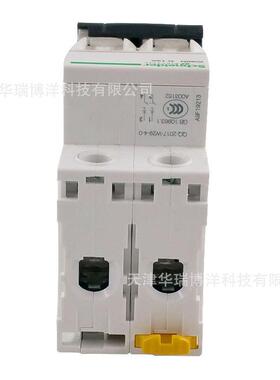 IC65微型断路器IC65N2PDA小型空气ZSV开关A9F19211微断空开