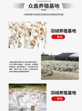 标新国质标95普绒白鸭水洗蓬松国纺织羽绒高MIW品21标95白鸭绒