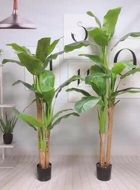 芭蕉树室内摆件大栽香假蕉树软型盆装造景落地绿植景BJ-18745观树