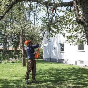 525P枝T5S汽油高枝锯园绿林化高11高林空锯园机械