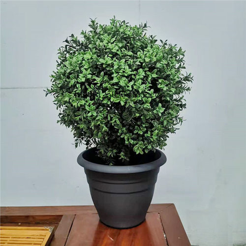 仿真黄杨木杨梅叶圣生白蒂树枝假果枝福禄桐叶室插花摆件花卉景观