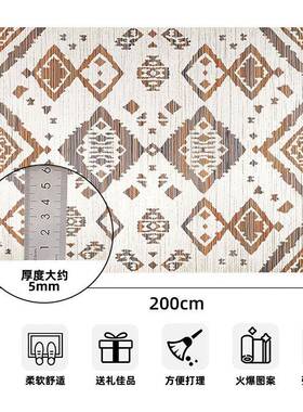 厅地毯加厚滑吸水脚垫全t铺大面积347地毯垫客卧室衣帽间pr地毯防